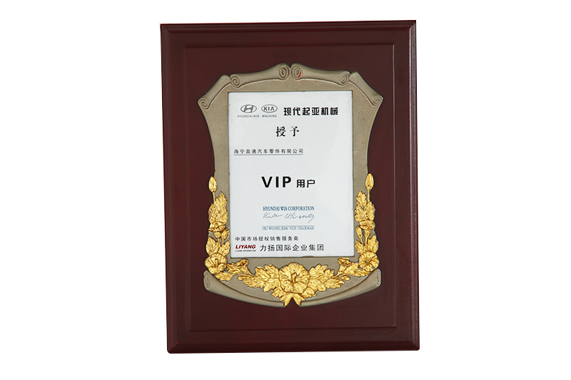 現(xiàn)代起亞機(jī)械授予茲VIP用戶